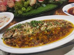 -陶然居·重庆菜(鱼洞老街店)