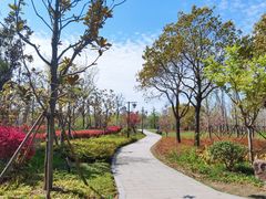 -狼山风景名胜区