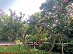 -杭州城北体育公园