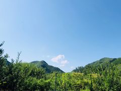 -北京鹿世界主题园