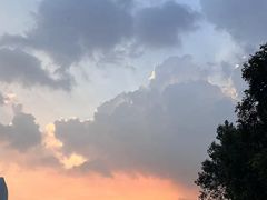 -光明刘冰乳鸽店(光明法政北路店)