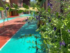 -京师双语幼儿园