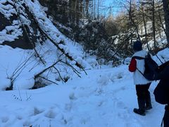 -峡谷浮石林景区