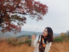 -塔川景区