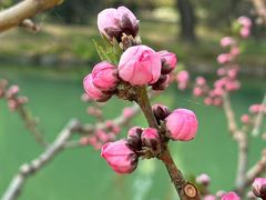 -颐和园