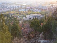 -府君山公园