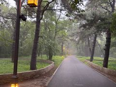 -北陵公园