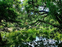 -人民公园(罗湖区)