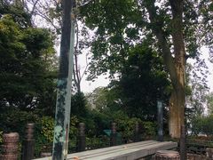 -紫金山天文台