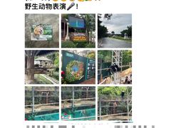 -清迈夜间动物园