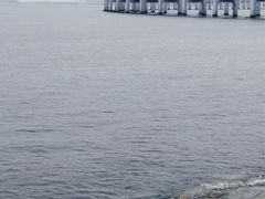 -星海湾跨海大桥