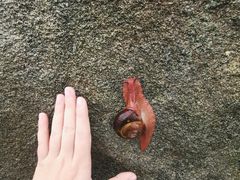 -罗田薄刀峰风景区
