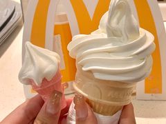 -麦当劳(金山红星美凯龙DT店)