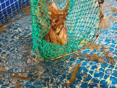 -小时候焗海鲜(鄞州万达店)