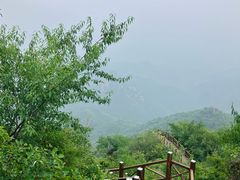 -大岭沟猕猴桃谷风景区