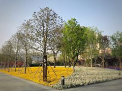 -上海市龙华烈士陵园