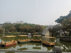 -金砂公园