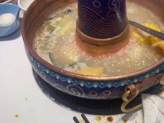 -董记老清泉·鲜切涮羊肉(窑岭店)