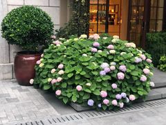-穹六人间 people 6(岳阳路店)
