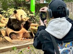 -灵玲国际马戏城
