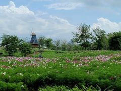 -海花岛旅游度假区
