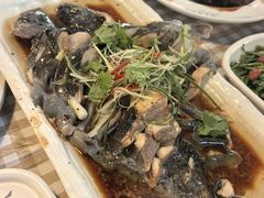 -京北渔家傲
