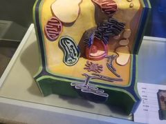 -浙江自然博物院(杭州馆)