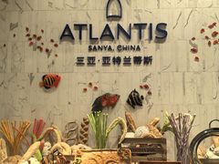 -亚特兰蒂斯-番红花海鲜自助餐厅·鲜活海鲜·小火锅