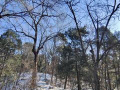 -北京大学-燕南食堂