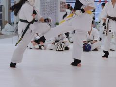 -极真空手道修远道场