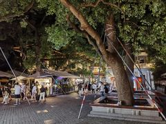 -湖畔居茶楼(湖滨店)