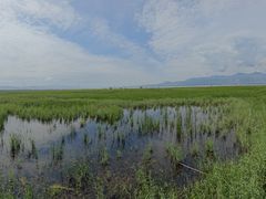 -野鸭湖国家湿地公园