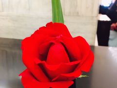 餐具摆设-Salon de The de Joel Robuchon(外滩18号店)