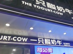 -一只酸奶牛(八一路店)
