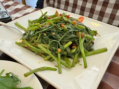 -文东记(马里士他路)