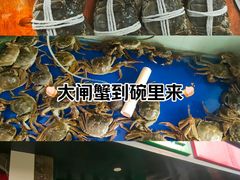-阳澄湖大闸蟹·琼灵阁牌品牌连锁(吴中总店)