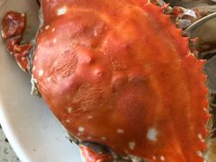 -港畔赶海蒸汽海鲜烧烤自助(仙螺岛店)