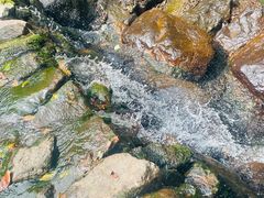 -白云源风景区