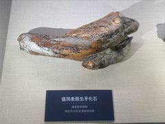 -呼伦贝尔民族博物馆