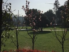 -武汉大学-樱园