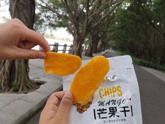 -大湾区中央湿地公园
