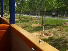 -永定河休闲森林公园