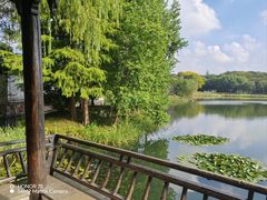 -尚贤河湿地
