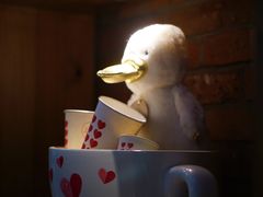 -8 Hearts Coffee(悟锦世纪大楼店)