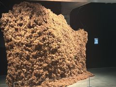 -现代汽车文化中心 Hyundai Motorstudio Beijing