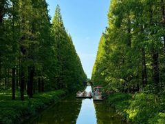 -黄海国家森林公园