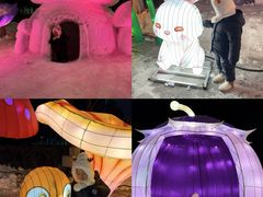 -沈阳奥体冰雪嘉年华