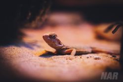 -酷嗒动物文化乐园(cutezoo西溪乐天城店)