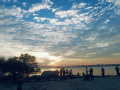 -宝安西湾红树林湿地公园