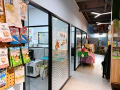 -小呆的宠物店·宠物售卖·宠物寄养(城西店)
